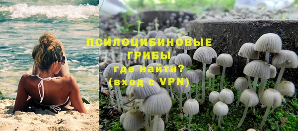 трава Россошь