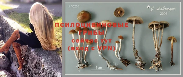 трава Россошь