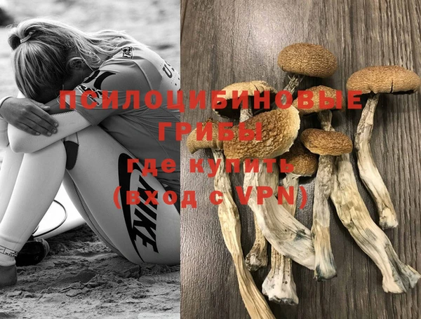 бошки Ростов